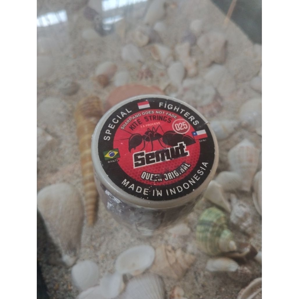 semut 2000 yard panjang