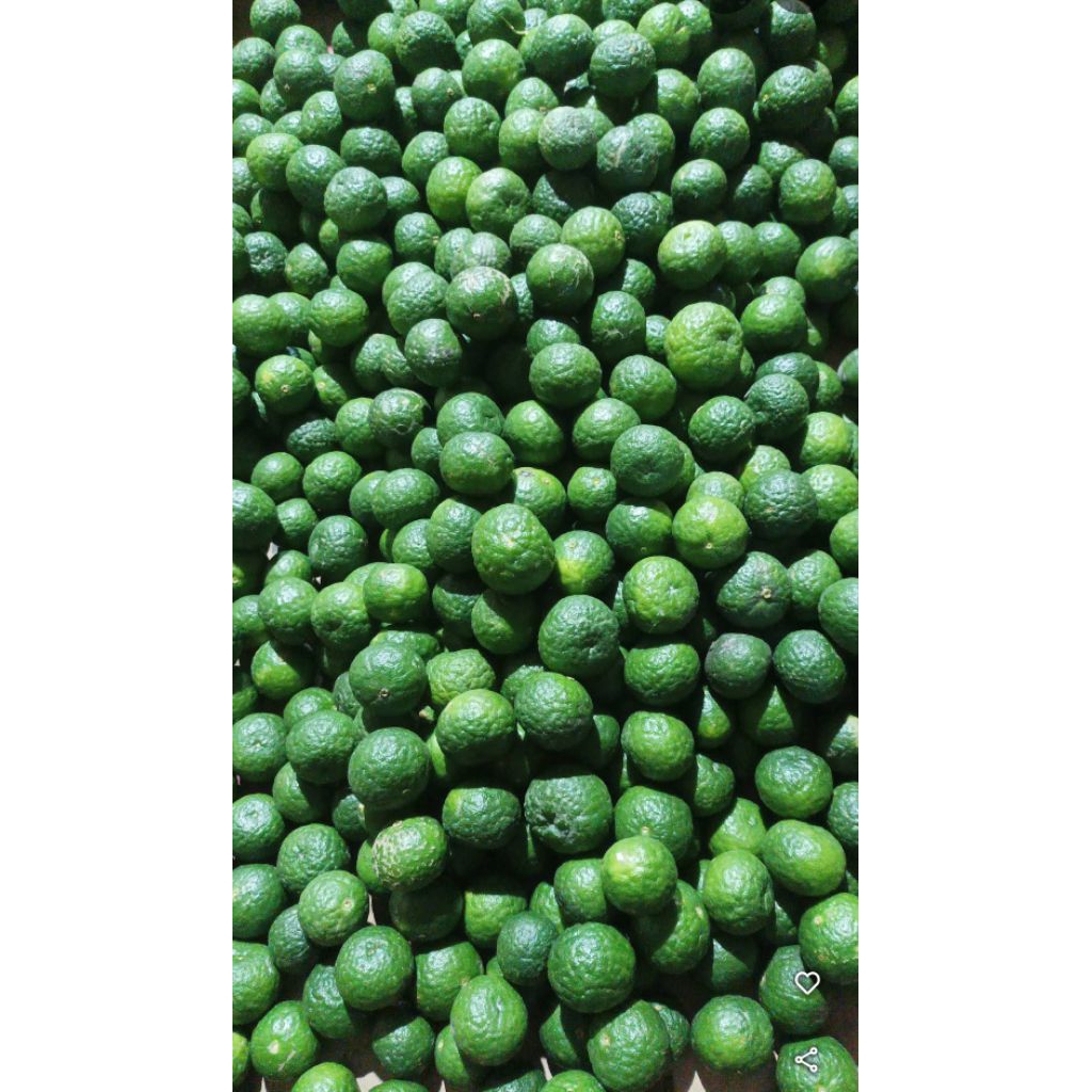 Jeruk Limau (Jeruk Sambel)