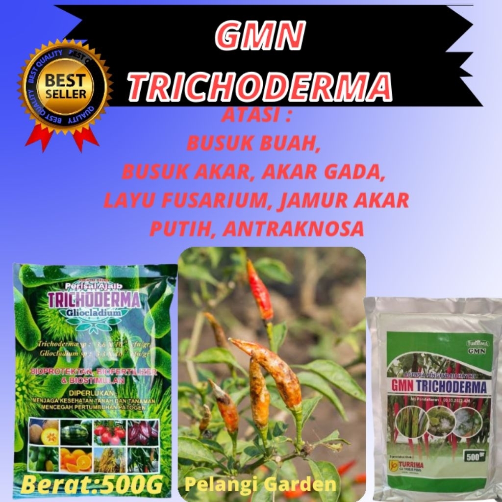 SOLUSI AJAIB !! Tricoderma Jamur Isi 500gram