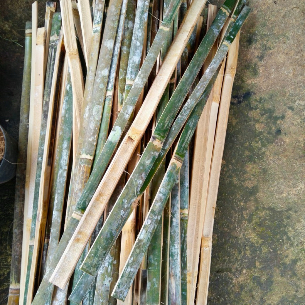 Bilah bambu/bambu