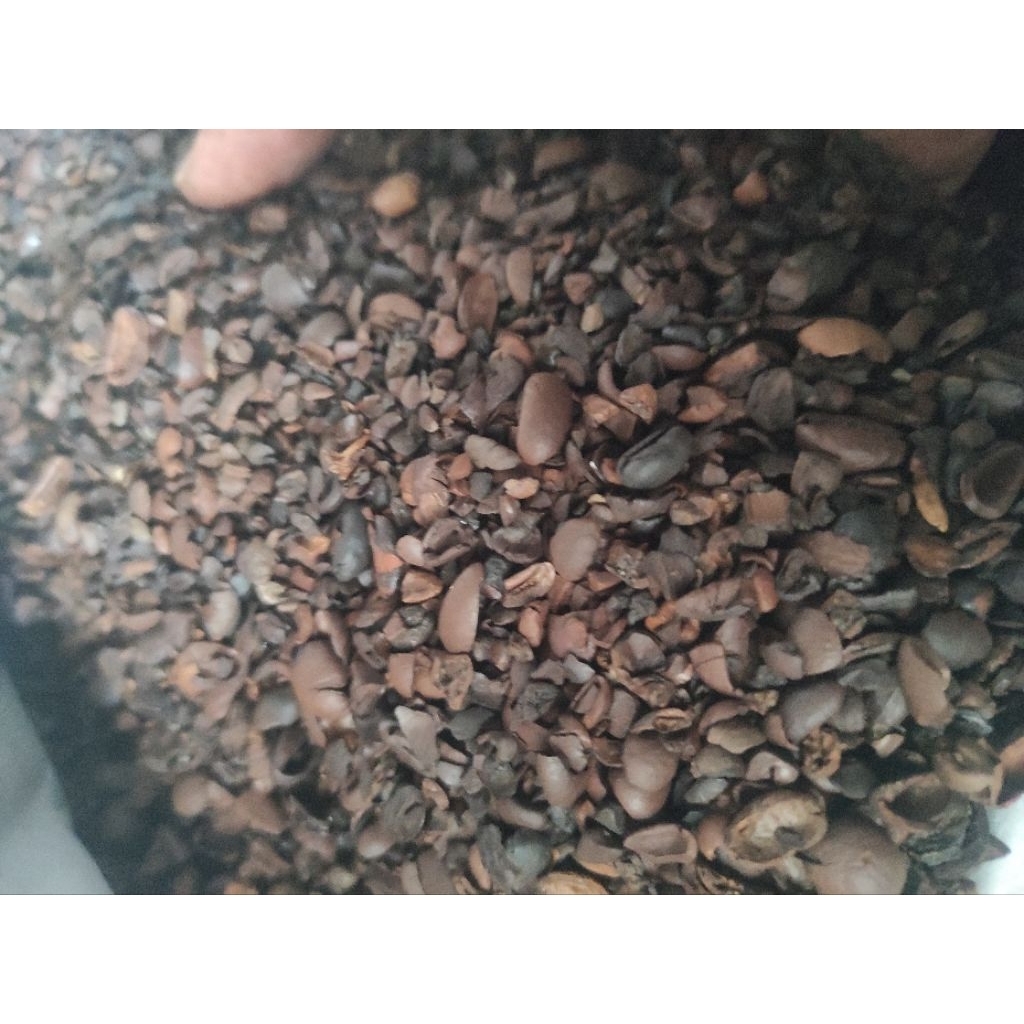 kopi pecah robusta