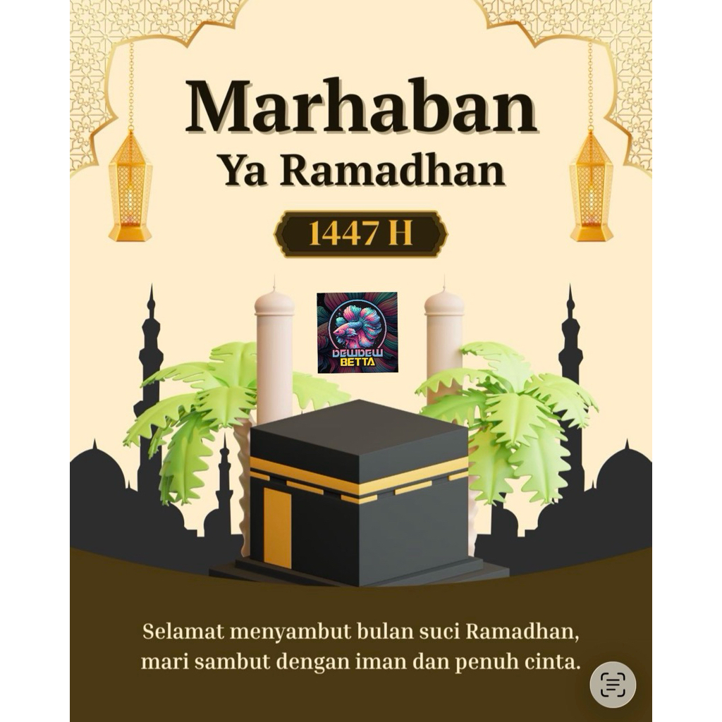 Link co 527k (Admin10%)