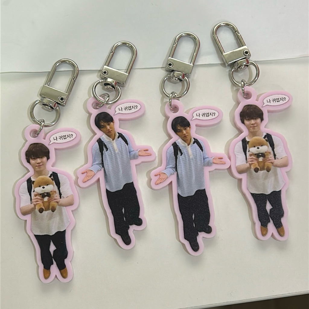 [plsn] Tiny Silly Keyring (Mingyu & Dino)