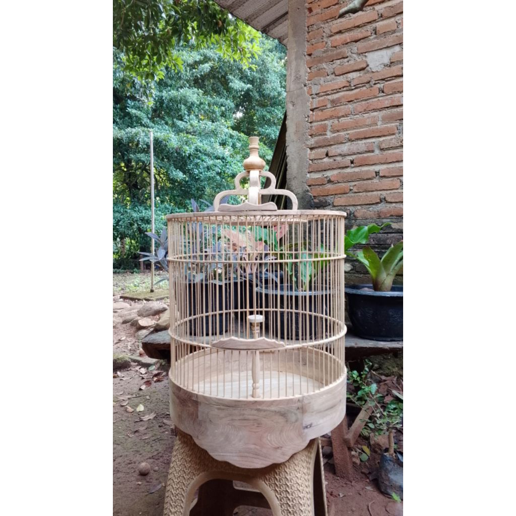 sangkar penjinakan