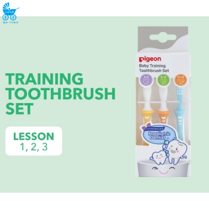 PIGEON TRAINING TOOTHBRUSH LESSON 1.2.3 SET MIX