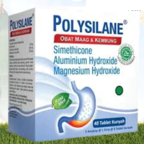 POLYSILANE 1 STRIP @ 8 TABLET KUNYAH