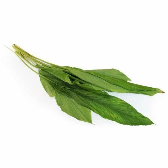 Terlaris Daun Kunyit