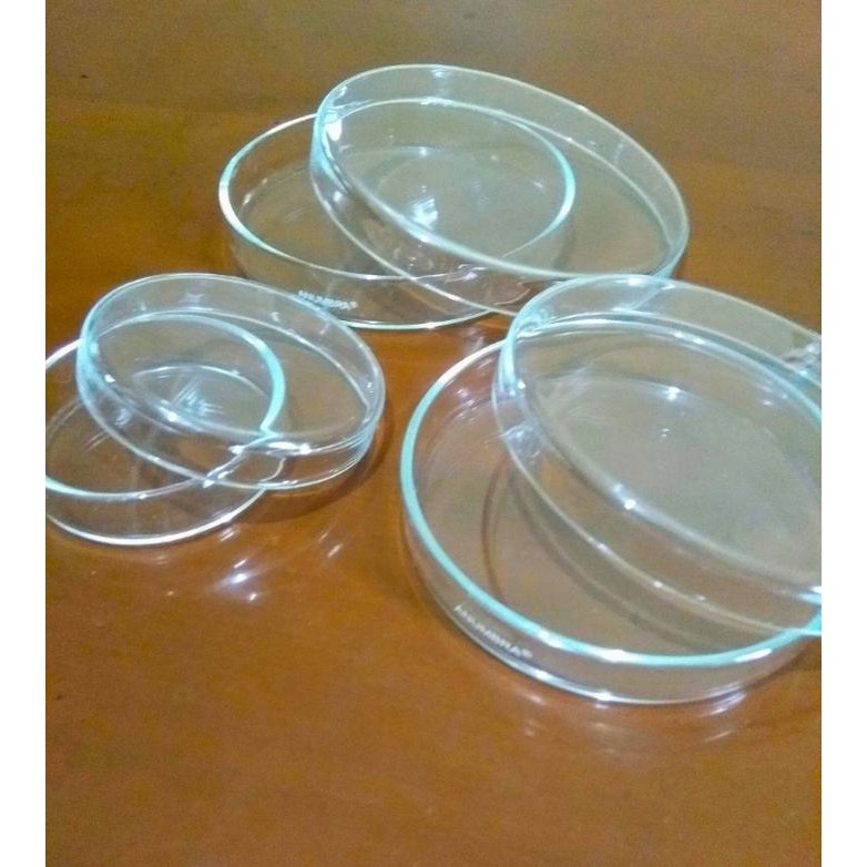Petridish 60x15 mm