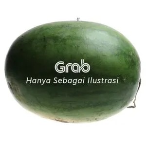 semangka