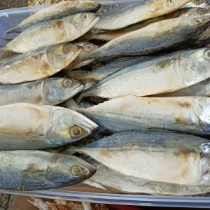 Peda Putih 100g