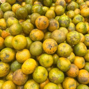 Jeruk Madu 1kg