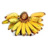 pisang kepok
