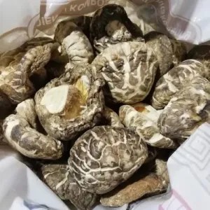 Jamur Hioko/Shintake Kering 50g