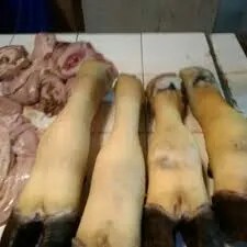 Kaki sapi 1per pack