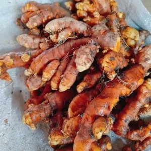 Kunyit 1kg