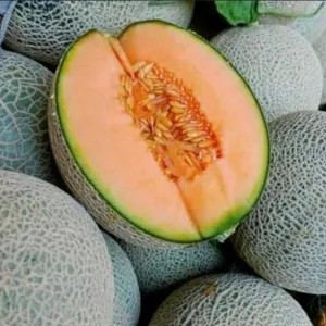 Melon Oren sakata 1 buah