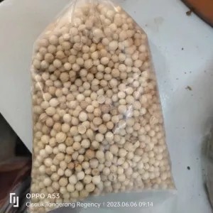 tumbar bulat 1per pack