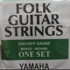 Senar Gitar string 1 set
