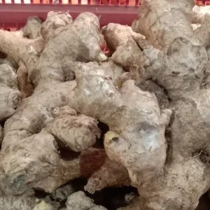 jahe emprit 100g