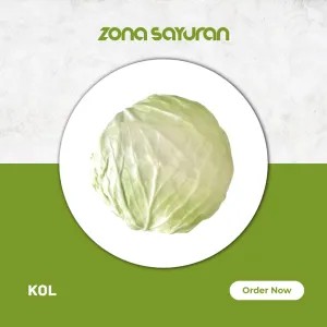 Kol Segar 250g