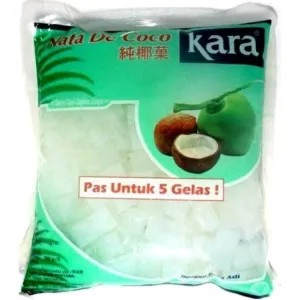 nata de coco (bks besar)