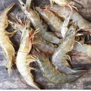 UDANG VANAME 250g