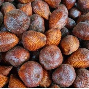 Salak Pondo 1Kg