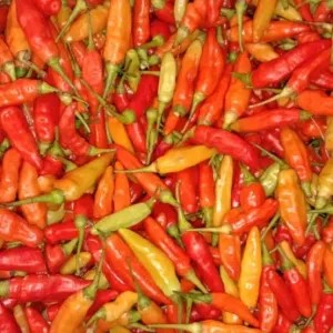 Cabe Rawit / Small Chili 1kg