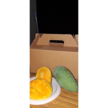 Mangga Gadung