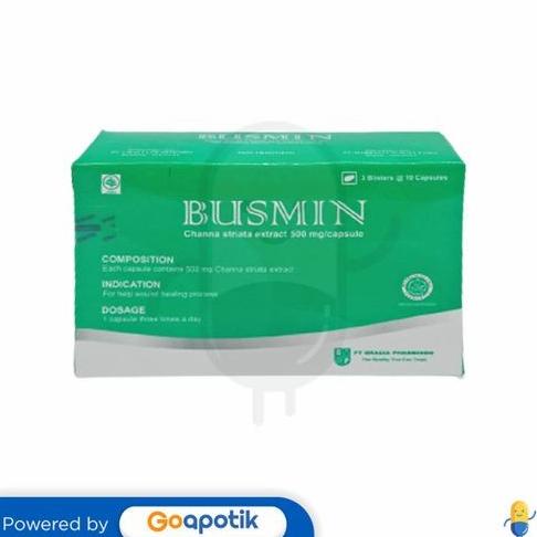 BUSMIN 500 MG BOX 30 KAPSUL