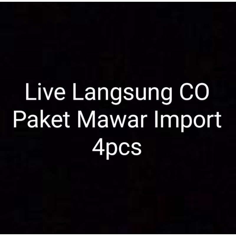 live paket mawar import 4pcs