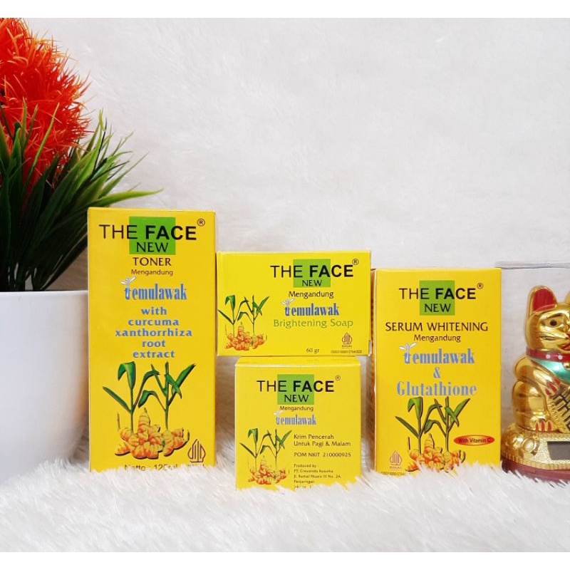 Paket The Face Temulawak BPOM