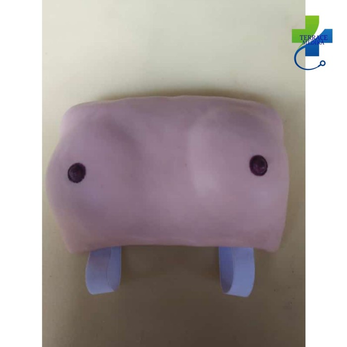 PHANTOM MANIKIN BREAST CARE