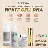 MS GLOW CELL DNA