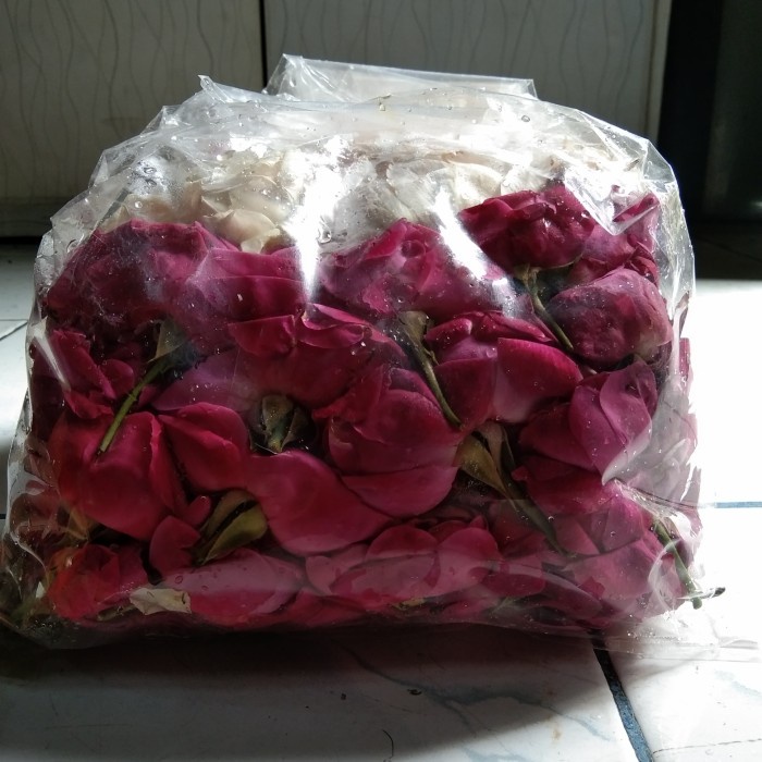 Bunga Bunga Tabur / Kelopak Mawar / Merah Putih