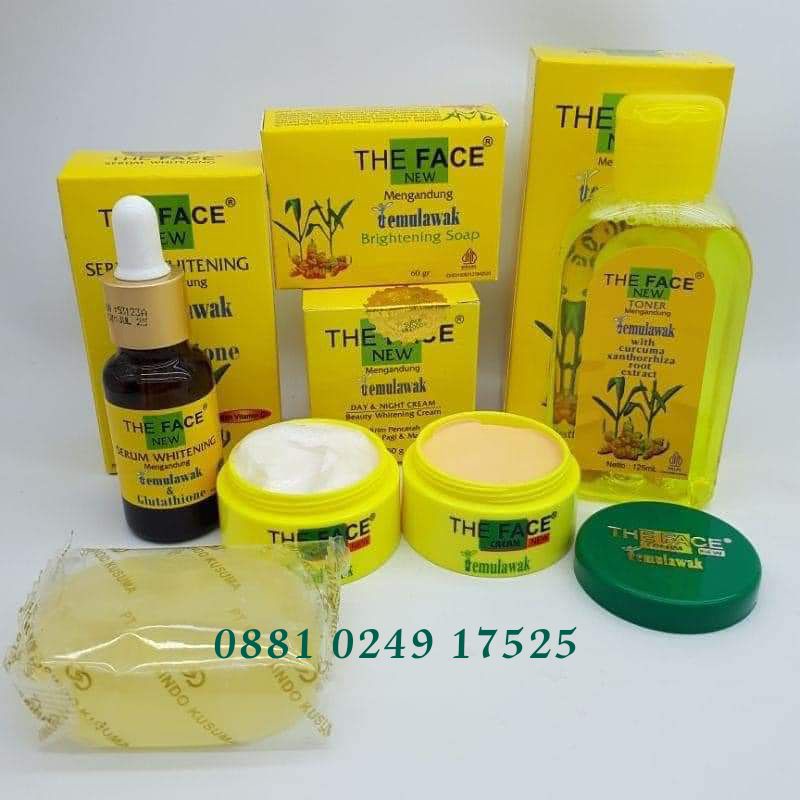 (COD)Paket cream Temulawak komplit 5in1 BPOM