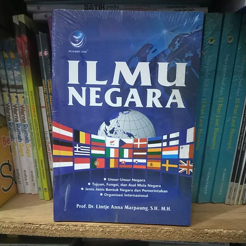 Ilmu Negara