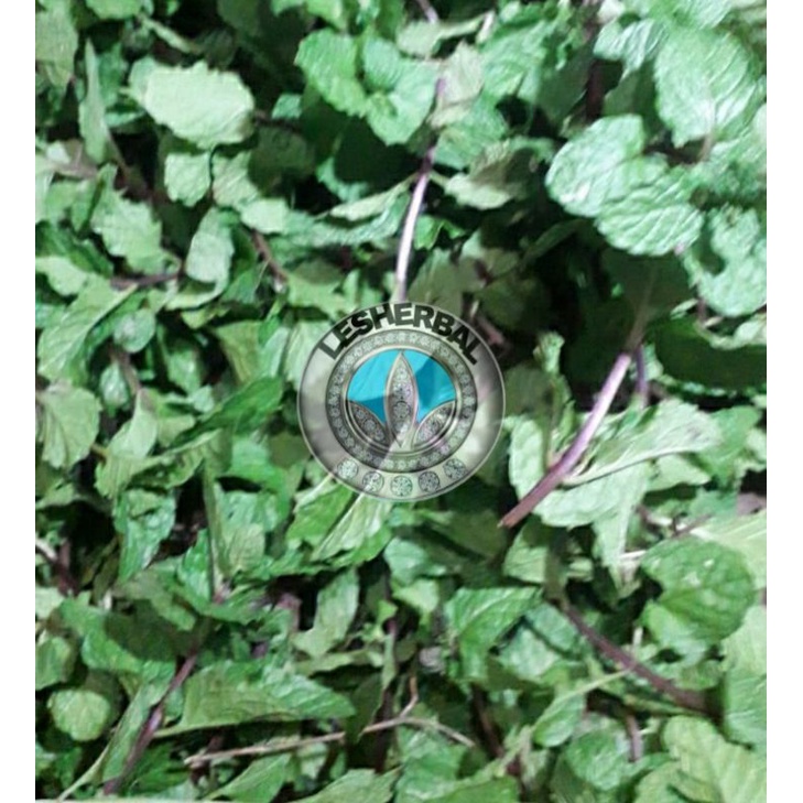 daun mint segar 250gram