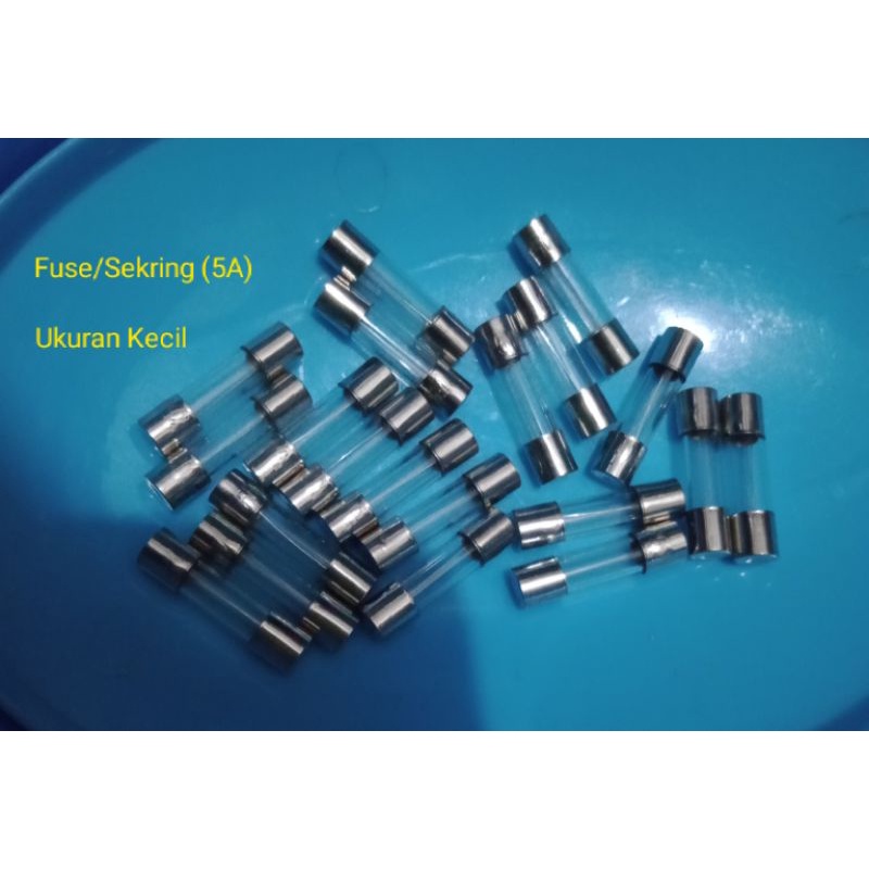 Fuse/Sekring (5A)