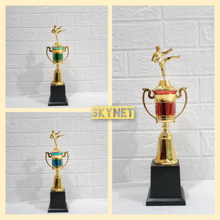 #####] Piala beladiri