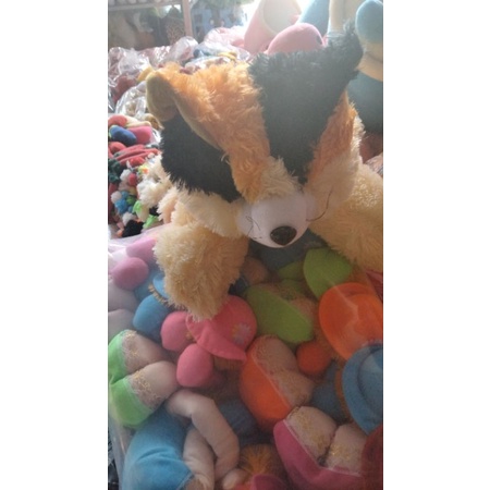 BONEKA KUCING XL