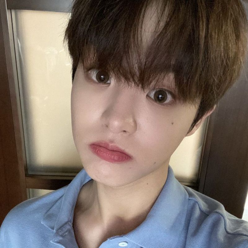 LINK CO REQUEST DISINI