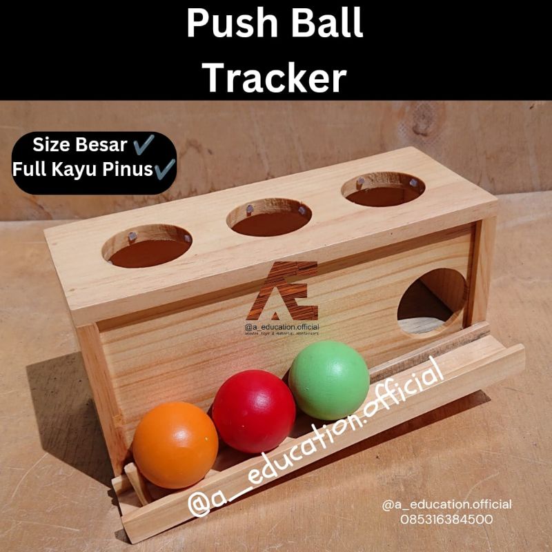Push Ball Tracker Montessori