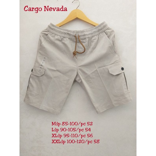 celpen cargo NEVADA