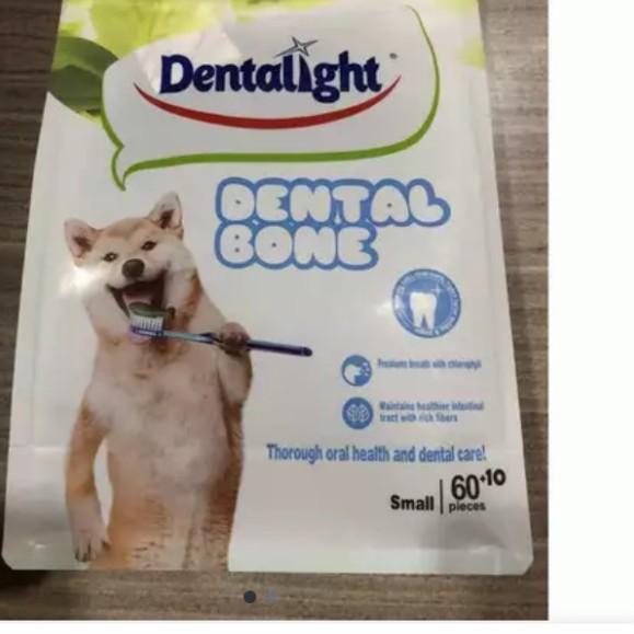dental bone isi 60pcs