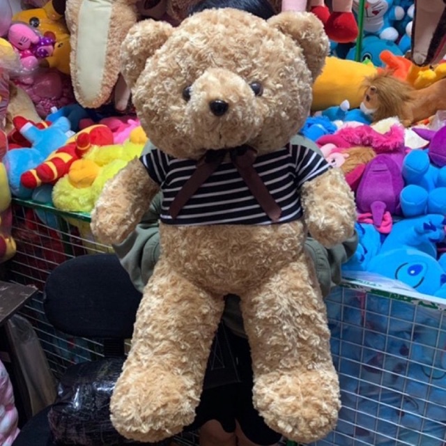 Boneka Teddy Bear Baju