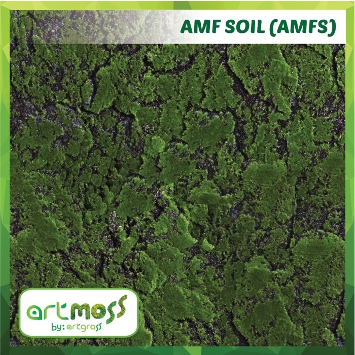 Art Moss Soil by artgrass