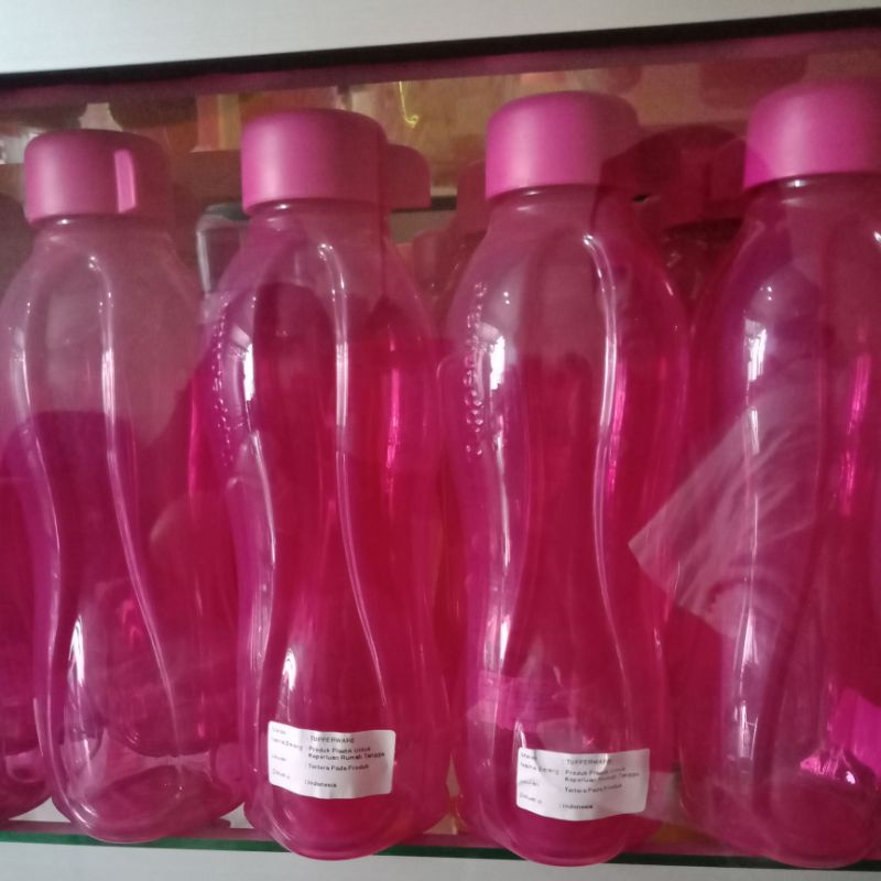 ecobottle500ml