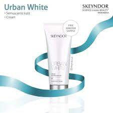 SKEYNDOR Shield Day Cream
