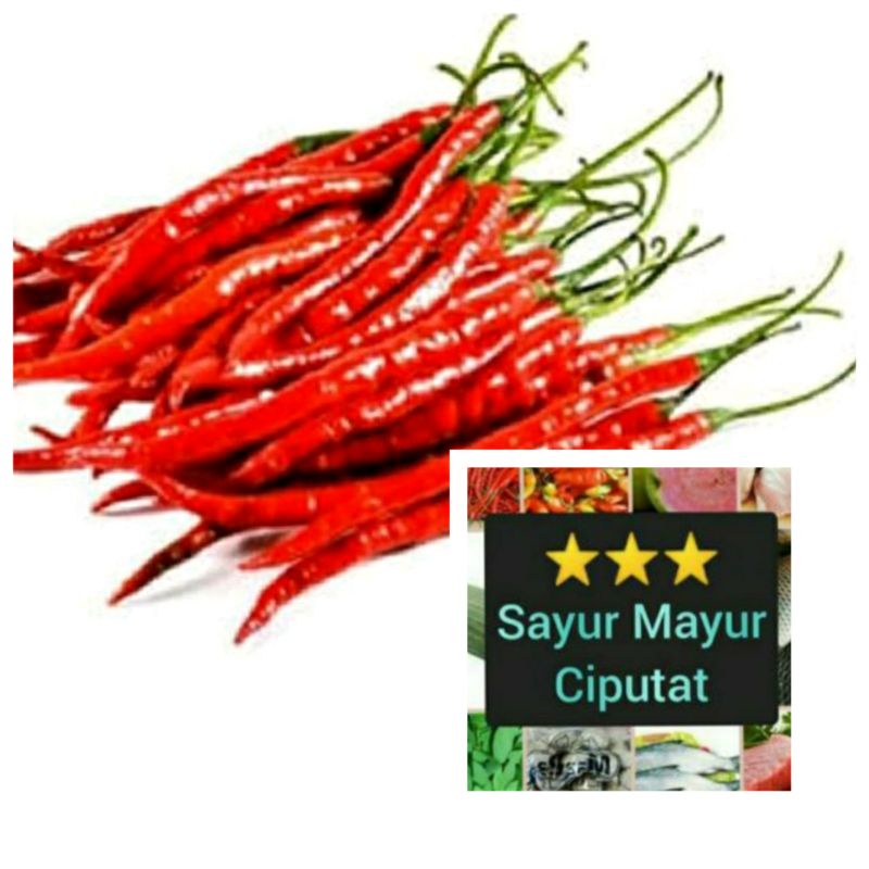 cabe merah keriting premium